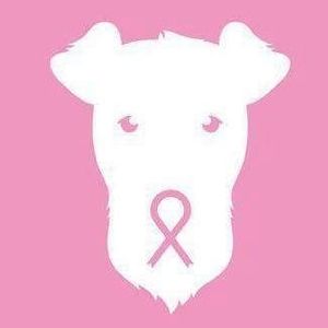 Meet your Posher, Pam